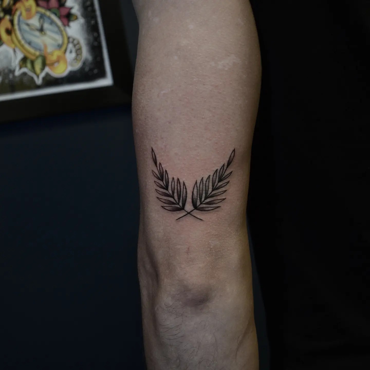 Top Notch Tattoo Salon de Tatuaje Roman